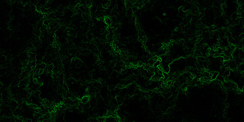 Abstract digital background with faint, glowing green electric lines and fluid. Mysterious, high-tech, and cybernetic atmosphere. Nebula-inspired void, with glowing filaments and deep.