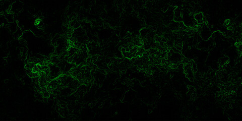 Abstract digital background with faint, glowing green electric lines and fluid. Mysterious, high-tech, and cybernetic atmosphere. Nebula-inspired void, with glowing filaments and deep.