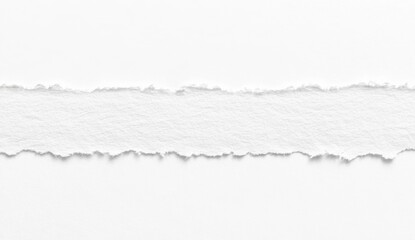 Torn paper strip (1)