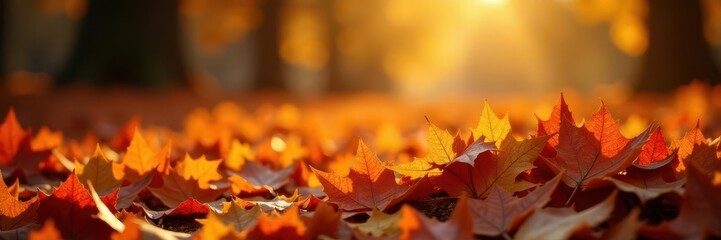 Pile of fallen leaves, rich color palette, sunlit scene , detail, organic