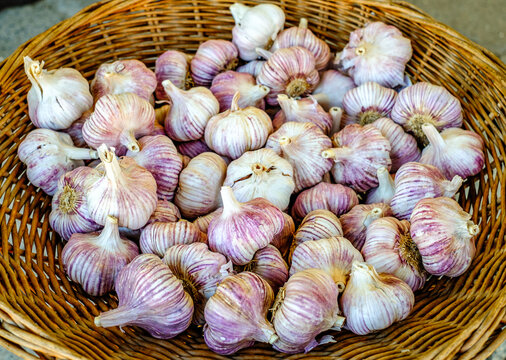 Basket filled with fresh garlic cloves displayed at a local market, showcasing their vibrant purple skins under natural light
