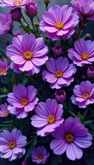 Fototapeta premium Intricate purple flower tapestry, densely packed blossoms , field, delicate, garden
