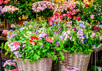 Colorful flower display at a vibrant market during daylight featuring various blooming plants in woven baskets