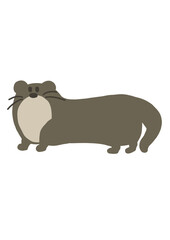 cat and mouse
수달