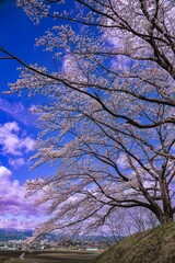 大和町八谷緑地公園