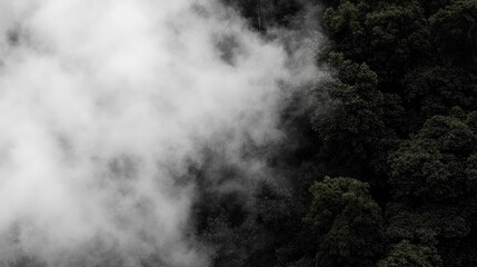 Fototapeta premium Misty forest canopy aerial view