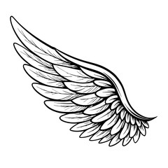 Elegant Feathered Wing Illustration for Tattoo Design and Art Projects