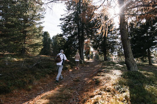 Group hiking forest trail in South Tyrol, Dolomites sunlight