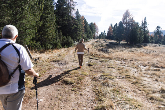 Hikers on sunny forest trail in South Tyrol, Dolomites