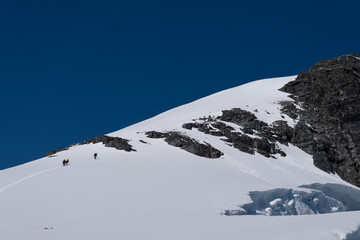 People in Antarctica climbing DeMaria mount. Expedition. South P