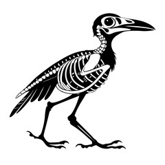 Naklejka premium Detailed Bird Skeleton Illustration for Educational and Artistic Use