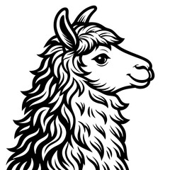 Obraz premium Detailed Llama Head Illustration for Tattoo Design and Coloring Book Projects