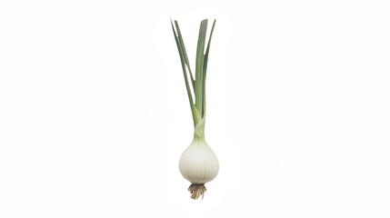 a bulb of an onion hanging from a on a transparent background, PNG image, PNG file, Generative art.