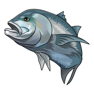 giant trevally fishing illustration logo vector image t shirt
