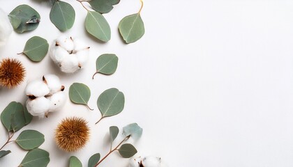 Autumn composition. Frame made of eucalyptus branches, cotton flowers, dried leaves on white background. Autumn, fall concept. Generated image