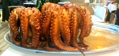Boiled octopus dish in a restaurant. Seafood restaurant menu. Octopus menu. Boiled octopus close-up. © Nataly G