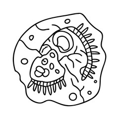 fossil icon, fossil line art - simple line art of fossil, perfect for fossil logos and icons