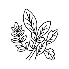 fresh herbs icon, fresh herbs line art - simple line art of fresh herbs, perfect for fresh herbs logos and icons