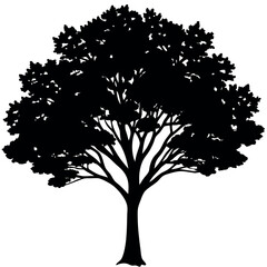 Obraz premium A crepe myrtle tree silhouette vector illustration. 