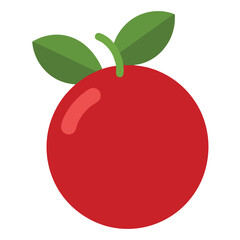 Cranberry icon on white background. 