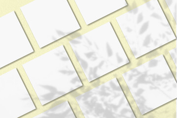 Natural light casts shadows from the plant on several square sheets of white textured paper lying on a yellow textured background. Mockup