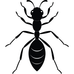Silhouette of an ant isolated on a white background