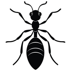 Silhouette of an ant isolated on a white background