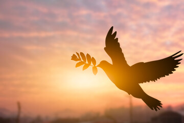 Silhouette shot of a pigeon holding tree leaf flying out over sunset time flare light blurred background, peace and freedom concept, copy space for individual text