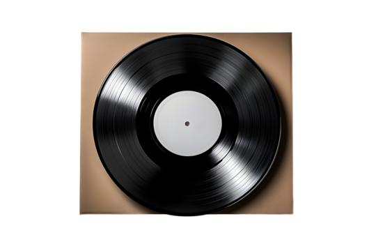 A 12-inch vinyl LP record in a cardboard cover on a white background.