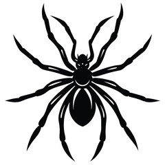 Obraz premium the spider silhouette vector illustration