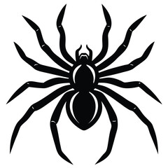 the spider silhouette vector illustration