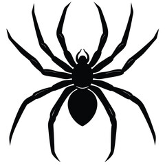 the spider silhouette vector illustration
