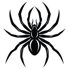 the spider silhouette vector illustration