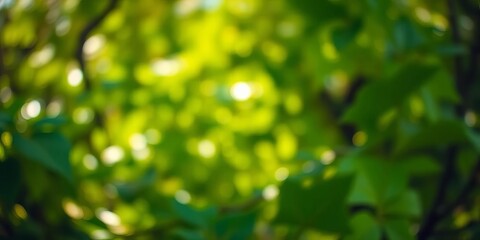 Obraz premium Abstract swirls of vibrant green, out-of-focus foliage creating a dreamy, natural bokeh, park, forest
