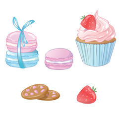 Hand Drawn Sweet Dessert Set with Macarons, Cupcake and Cookies Cute Vector Illustration