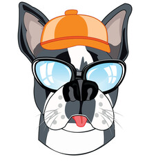 Cartoon of the mug of the dog in cap and spectacles