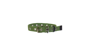 dog collar on a white background, green collar isolated on a white background, tarpaulin collar