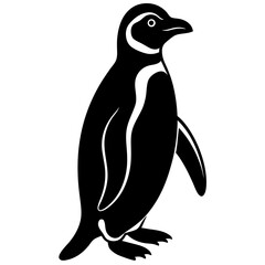 Fototapeta premium AI Generated African Penguin Vector Silhouette Isolate White Background