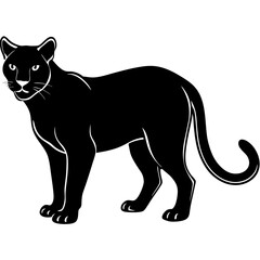 Obraz premium AI Generated African Golden Cat Vector Silhouette Isolate White Background