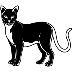 Obraz premium AI Generated African Golden Cat Vector Silhouette Isolate White Background