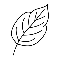 Simple Line Drawing of a Single Leaf Botanical Illustration Nature Sketch