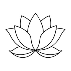 Simple Line Drawing of a Beautiful Lotus Flower Botanical Illustration