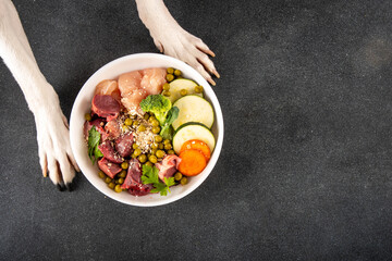BARF food healthy bowl for domestic pets background