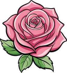Hand-drawn pink rose isolated on a transparent background