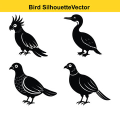  Cute vector illustration set of wild birds like robin and bullfinch on a branch, a lovely spring design.