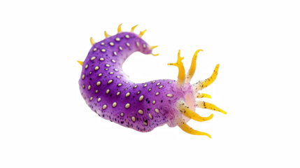 a strange looking animal on a transparent background, PNG image, PNG file, Generative art.
