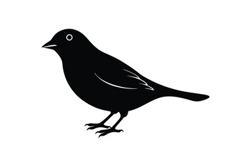 Silhouette art design of a Finch standing on the ground.eps