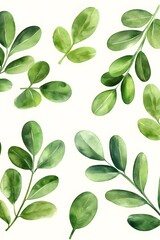Obraz premium Watercolor Green Leaves Botanical Pattern Illustration