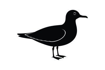 Silhouette art design of a seagull standing on the ground.eps