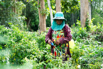 Gardening in serene nature a dedicated farmer cultivates crops in lush green surroundings with care